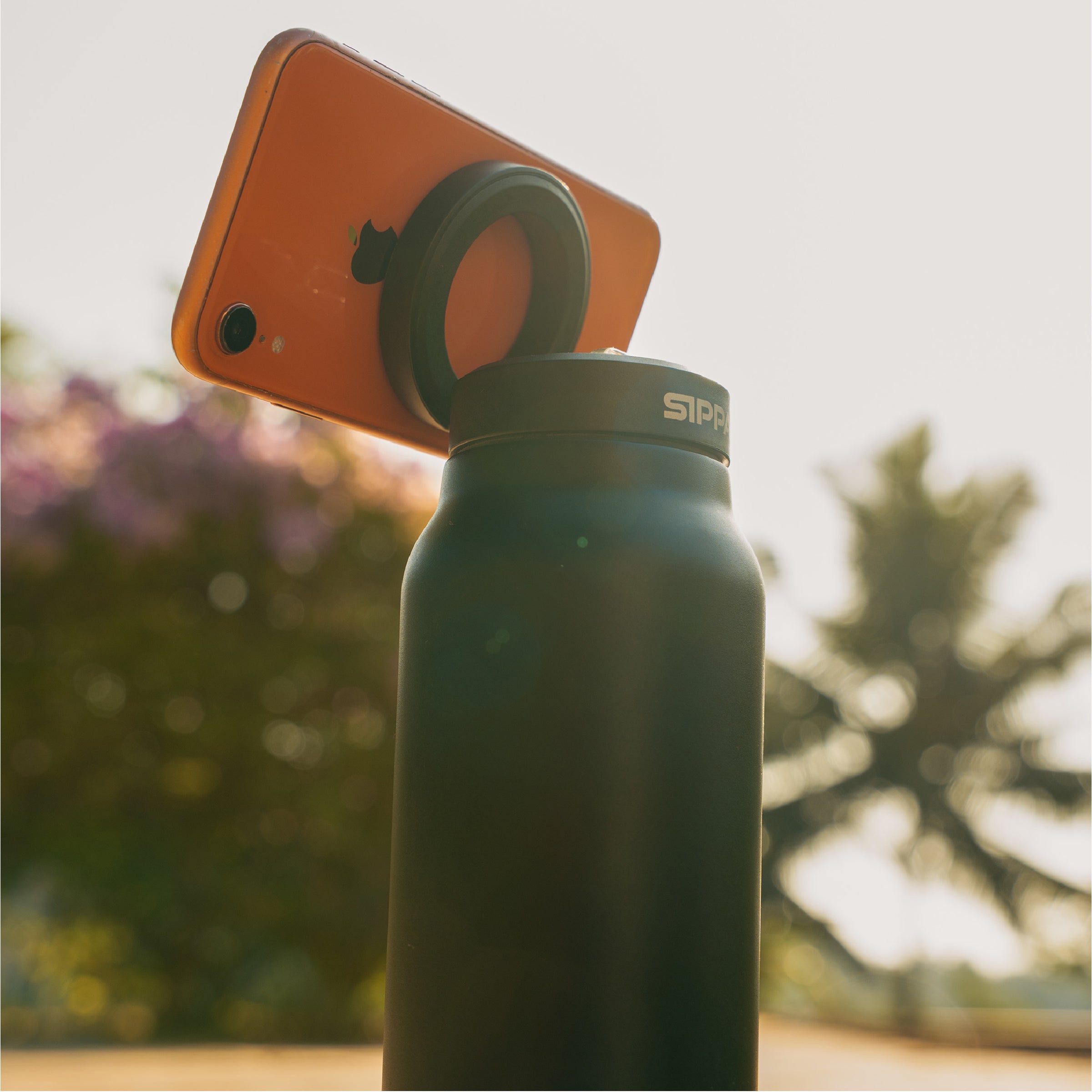 Graphite Black- Magsip Bottle - 24oz