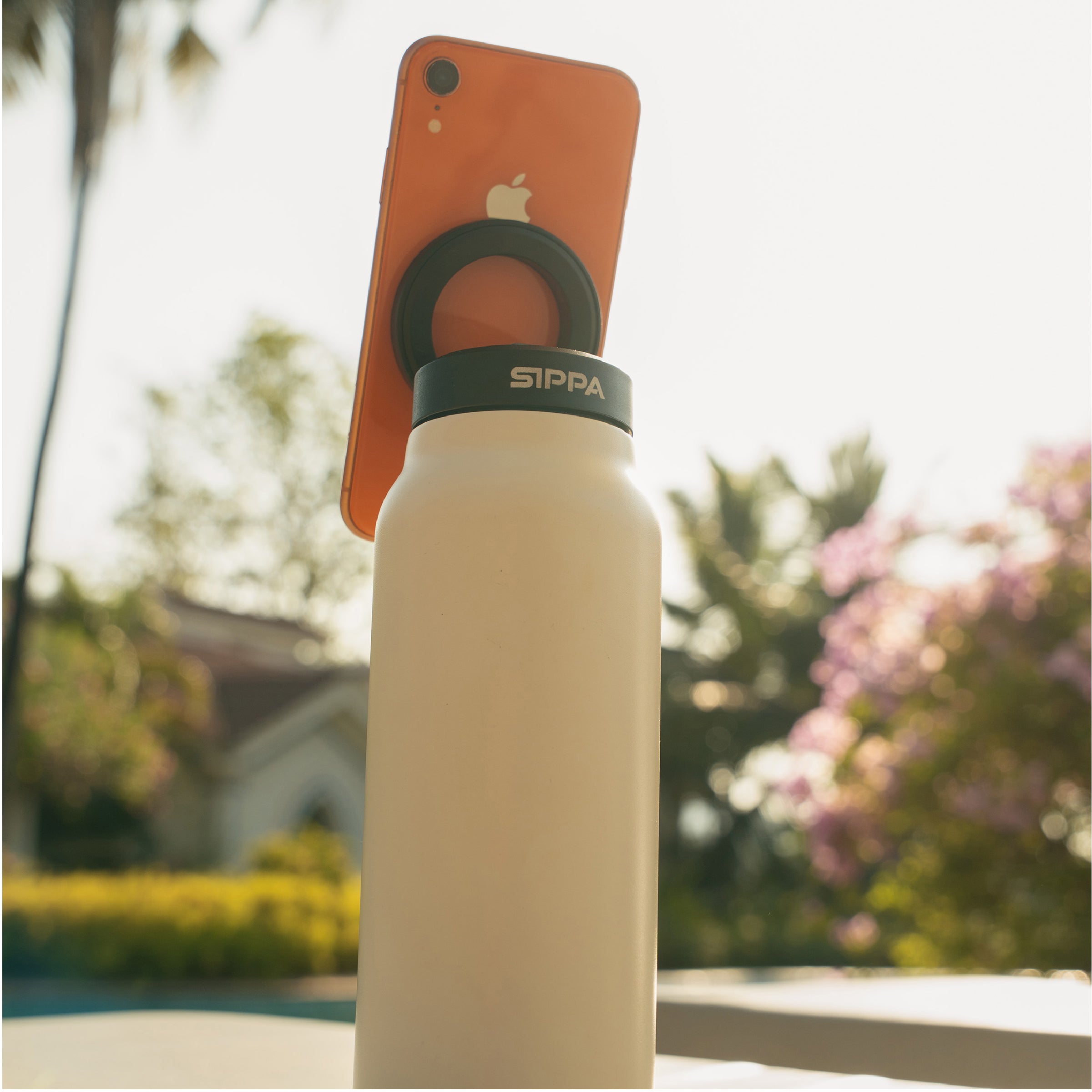 Pale Ivory - Magsip Bottle - 24oz